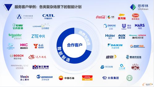 悠樺林位列國內供應商第一，《2025中國智能供應鏈計劃與排程市場份額報告》正式發布——中豹供應鏈洞察行業新趨勢